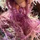 Purple Sea Moss Gel 16oz