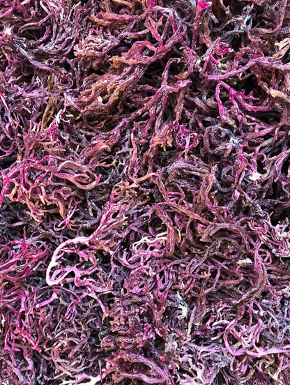 Purple Sea Moss Gel 16oz